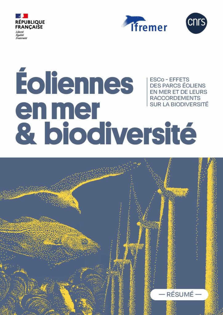 resume_esco_eoliennes_mer_biodiversite_ifremer_cnrs
