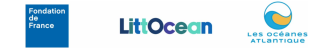 Logos termer
